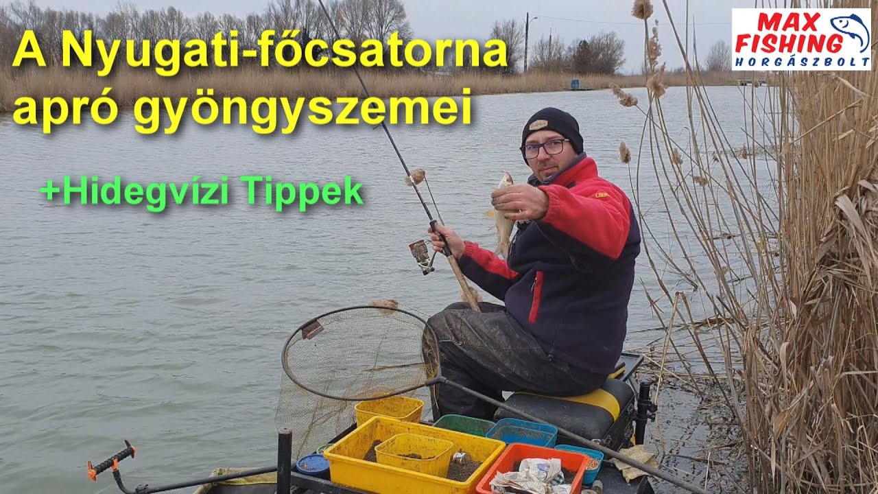 A Nyugati-főcsatorna apró gyöngyszemei