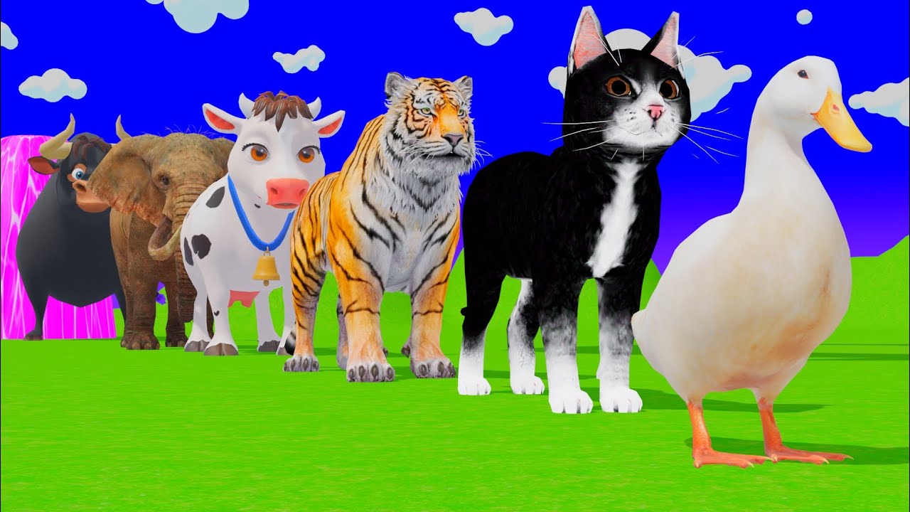 Long Slide Game with Tigers Lion Cow Hippopotamus Gorilla 3d Animal Game Funny 3d Animals