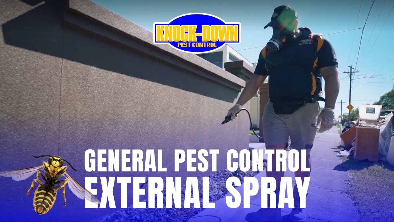 Knock-Down Pest Control Sydney - General Pest Control Services Sydney