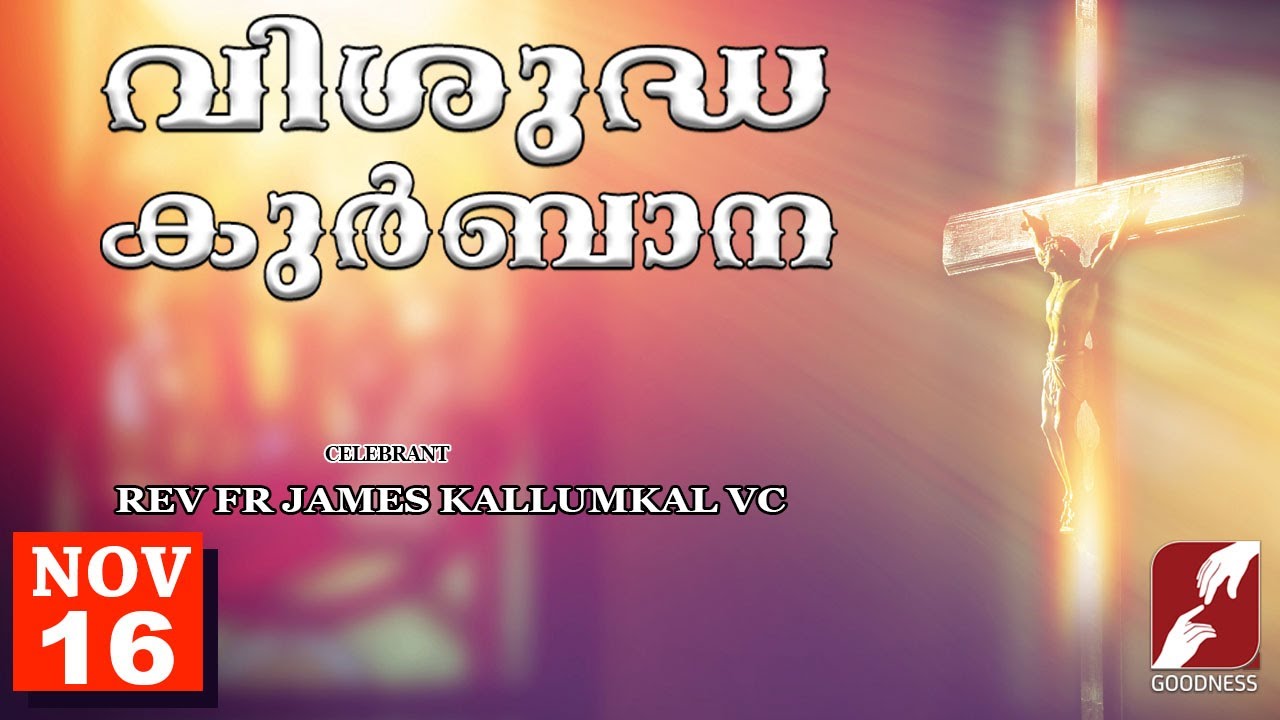 SUNDAY HOLY MASS LIVE @ 6 AM,16-NOV-2025|FR JAMES KALLUMKAL VC|MALAYALAM QURBANA|TODAY MASS|GOODNESS