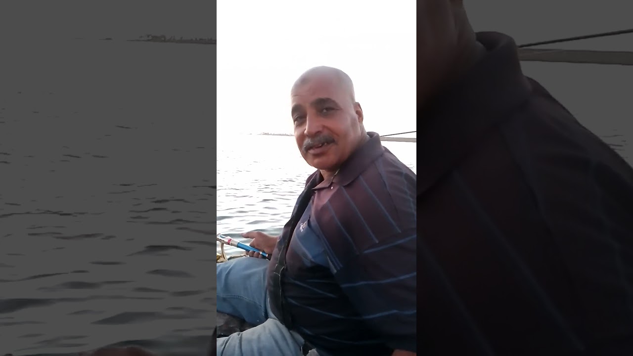 لسان البحر بطور سيناء واحة هواة الصيد