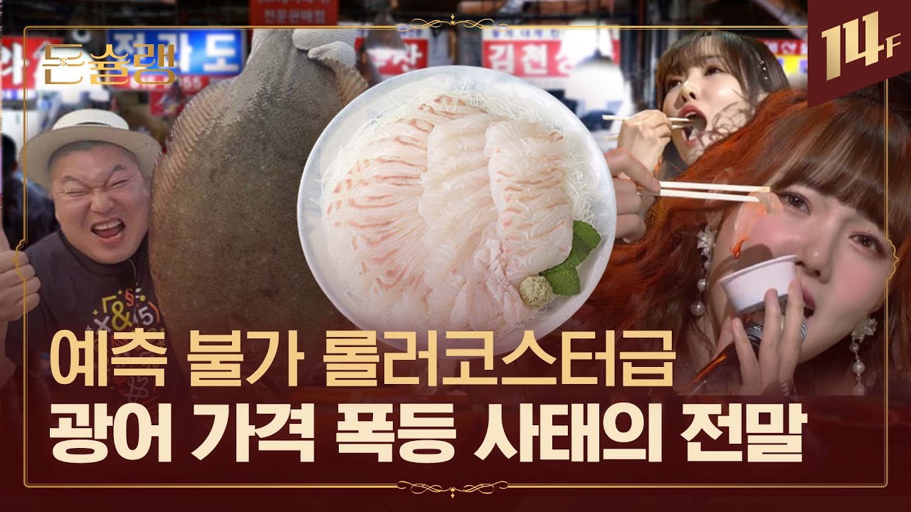 광어회 우럭회 가격 떨어지는 시기 딱 알려드림🥄ㅣ돈슐랭 / 14F