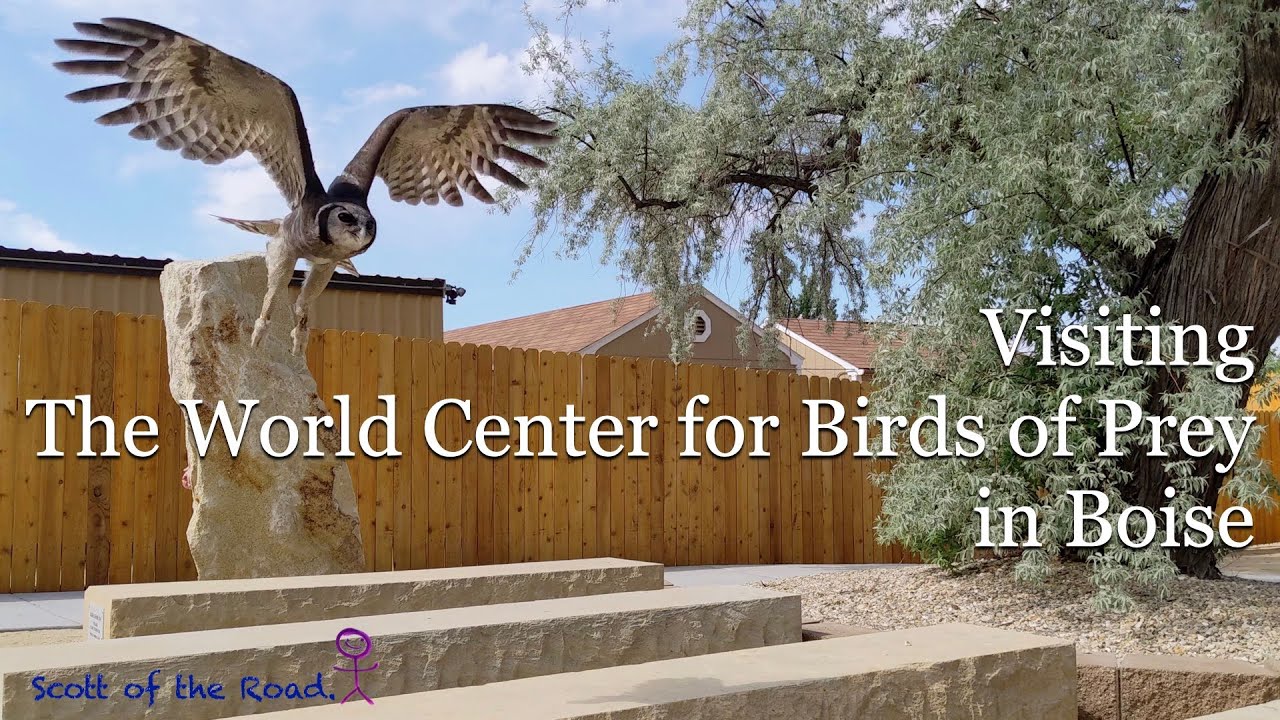 Boise, Idaho - Visiting The World Center for Birds of Prey