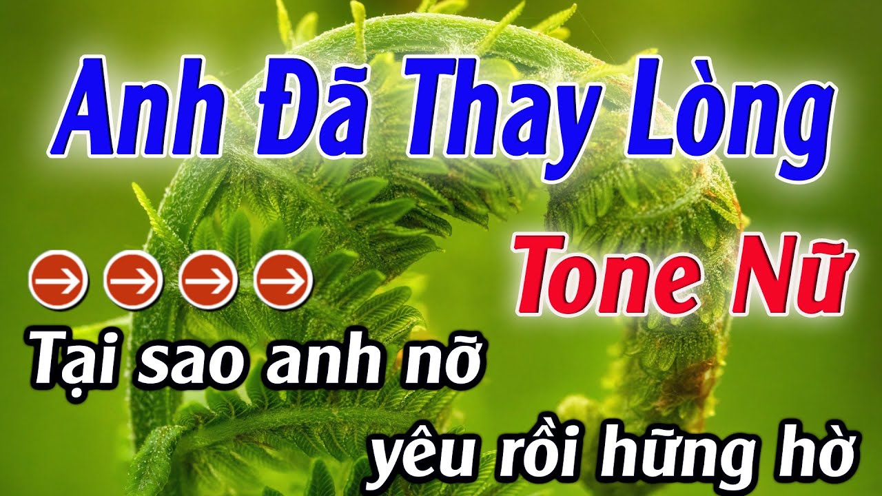 Karaoke Anh Đã Thay Lòng Karaoke Tone Nữ Beat Hay Nhất 2025 Karaoke Mê Nhạc Sống