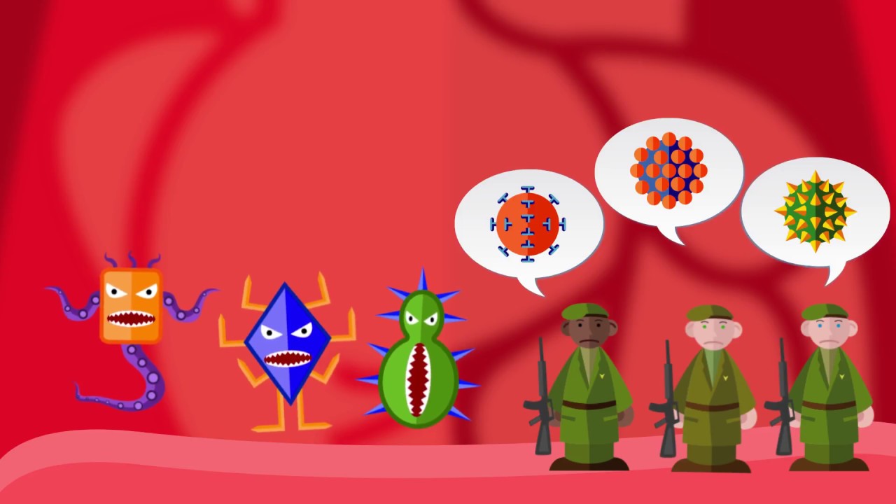 Alla scoperta dei vaccini
