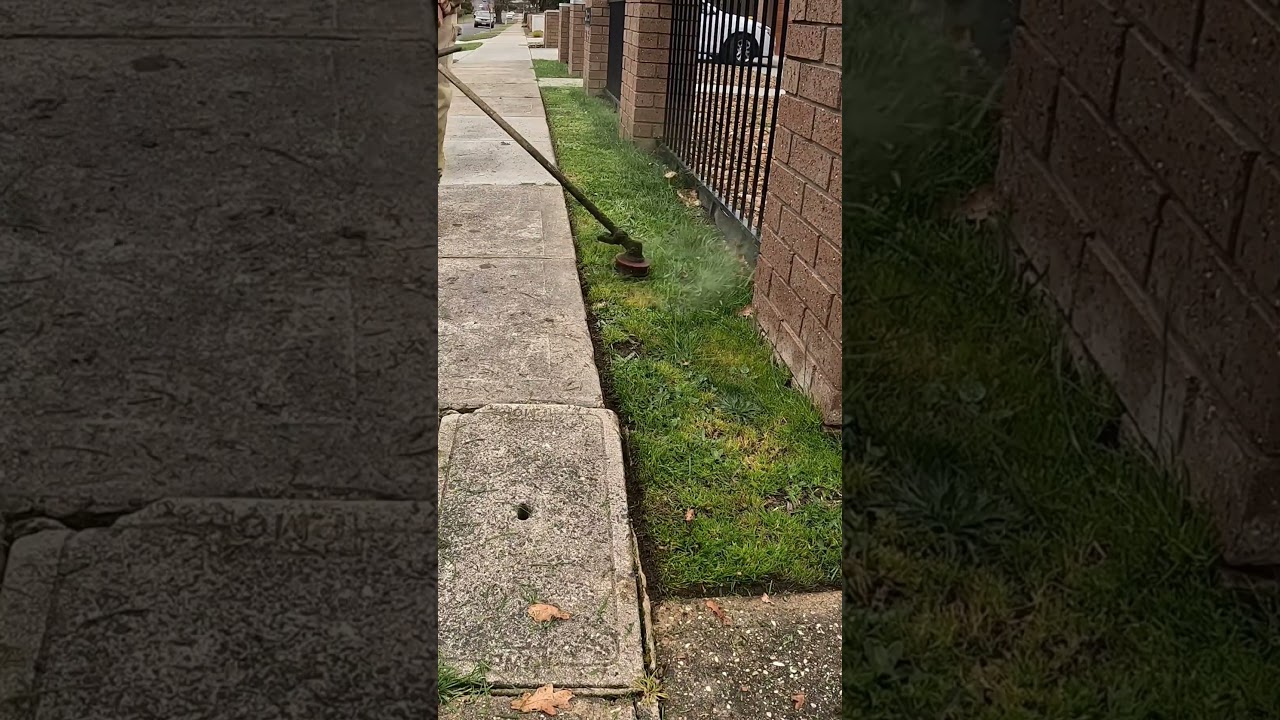 lawn edging #lawnmowing #lawncare #grassmowing #diy #viralshorts