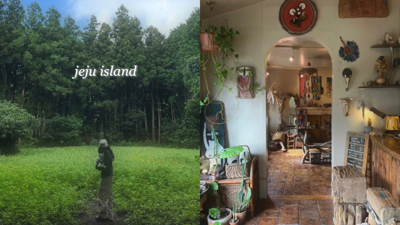 알밤이와 한여름 제주여행 VLOG. 🐶🕶️🏝️(애견동반식당 추천•애견동반 감성카페• 우뭇개해안•용눈이오름•코난비치•비밀의숲•보롬왓•애견동반숙소 추천)