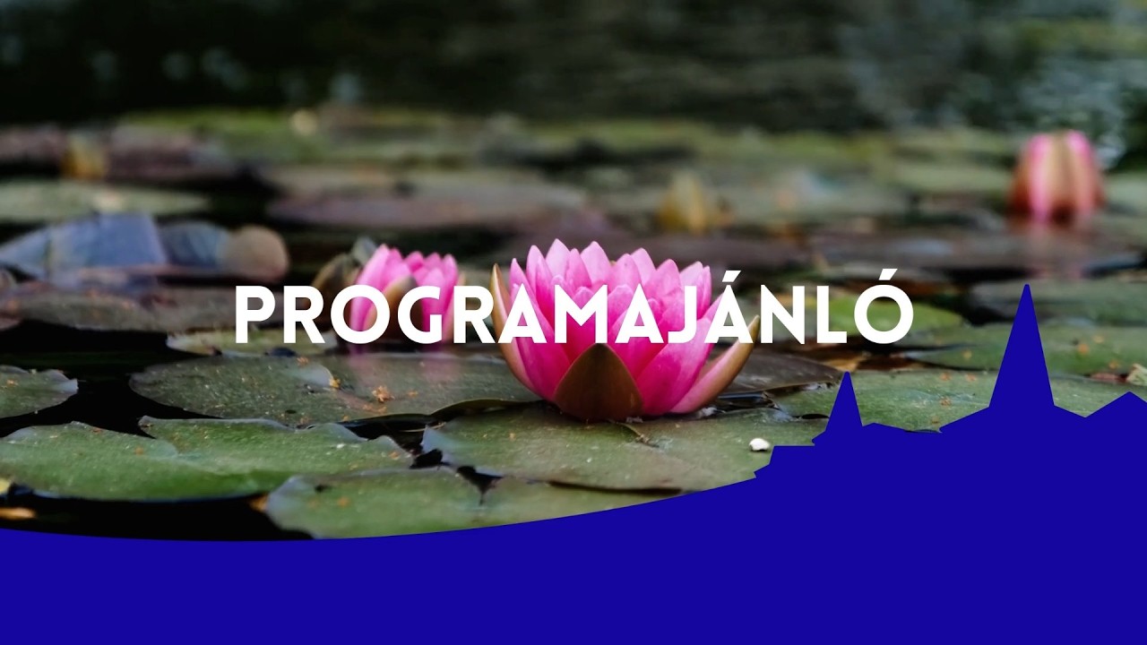 2026.03.10. Programaj&aacute;nl&oacute;