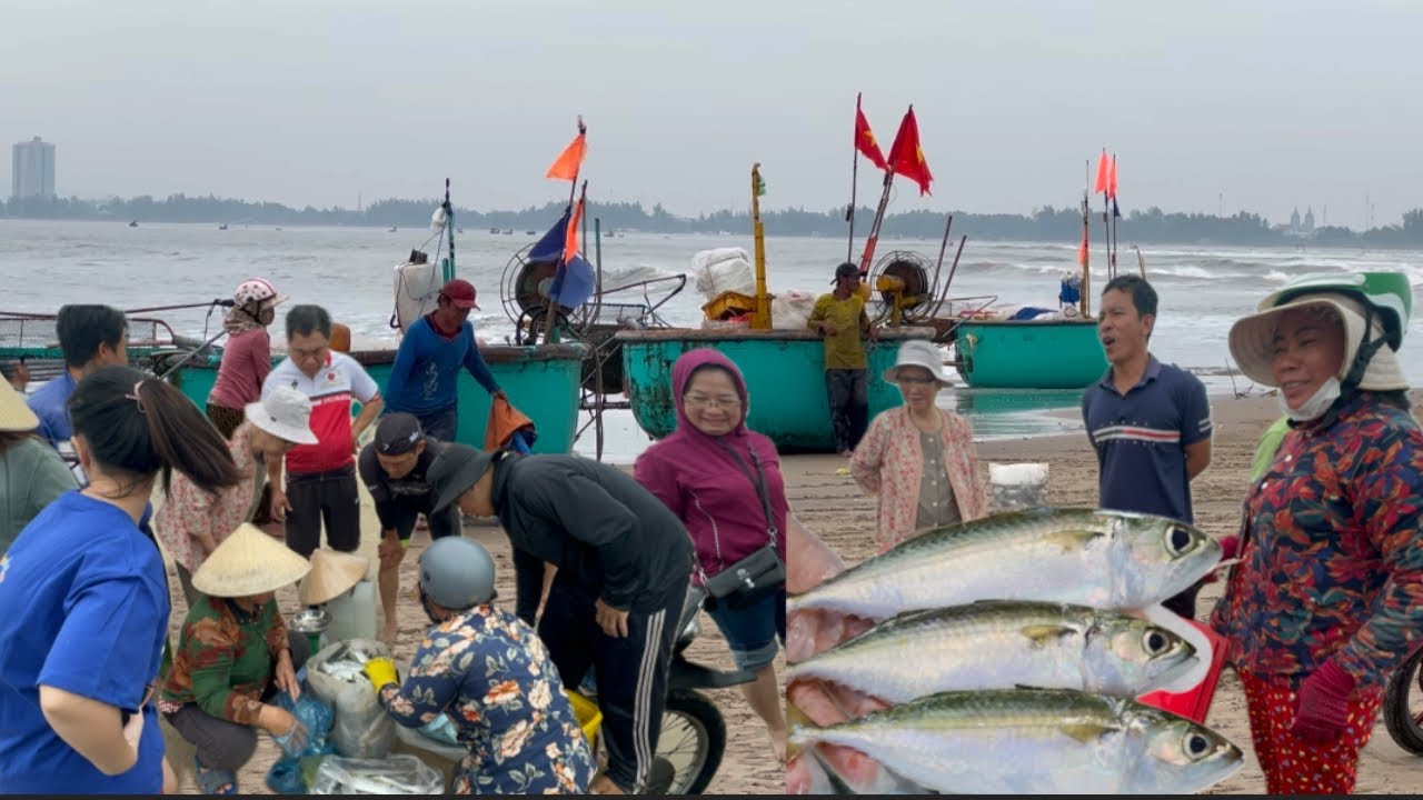 BIỂN LONG HẢI BÀ CON TRÚNG MÙA CÁ BẠC MÁ 100k 1kg