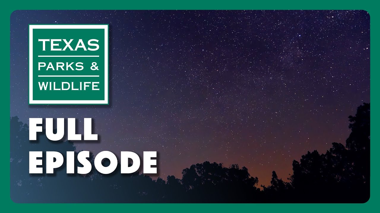 Прибрежная набережная, парк «Сосновые леса» и бабочки | Сериал «Техасские парки и дикая природа» ...