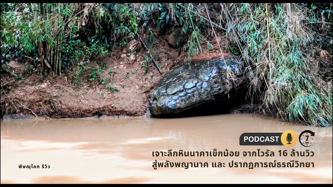 Podcast: เจาะลึกหินนาคาเข็กน้อยจากไวรัล 16 ล้านวิว สู่พลังพญานาค และ ปรากฏการณ์ธรณีวิทยา