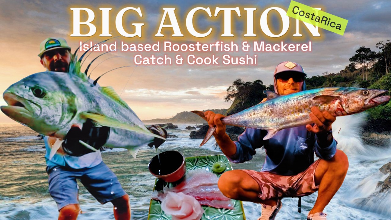 Rooster Pack & Mack Attack! Costa Rica - Rock Island Fishing
