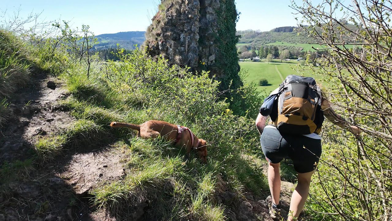 Mit rotem Kopf zum Rother Kopf - Traumpfadwürdiges Gerolstein