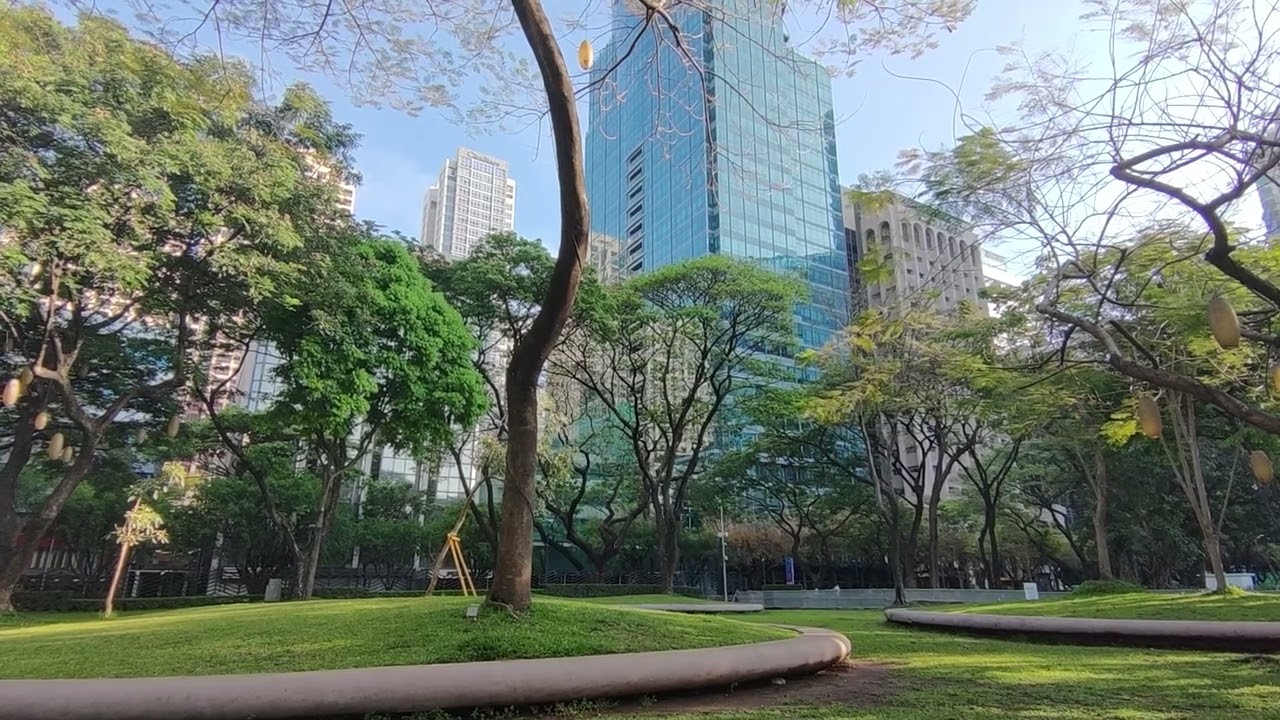 Video Background No Copyright Nature Park City Center Buildings