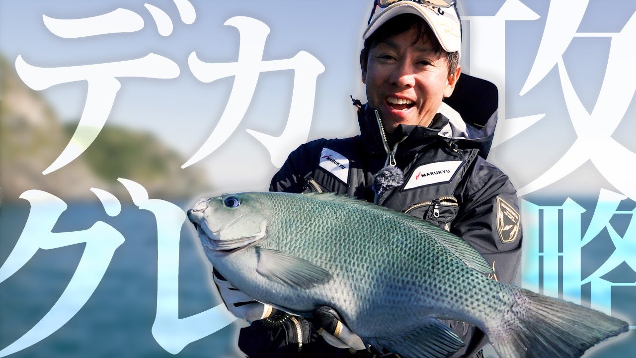大型グレをキャッチ！森井流アプローチ術の決め手は「M.S.P（S）レッド」〜兵庫県沼島