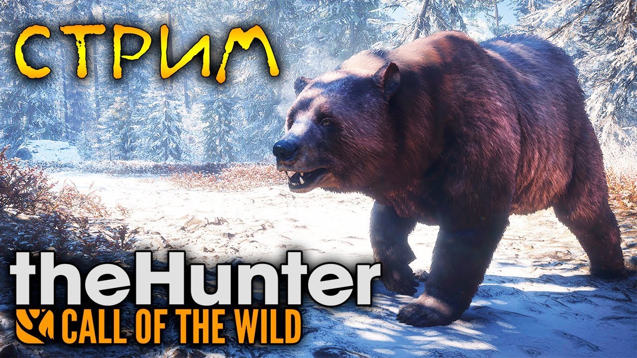 ОХОТА НА МЕДВЕДЯ В ТАЙГЕ - The Hunter: Call of the Wild (стрим) #5