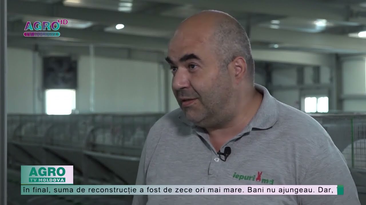 Cea mai mare fermă de iepuri din Moldova are peste 12 000 de urecheați – AGRO TV News