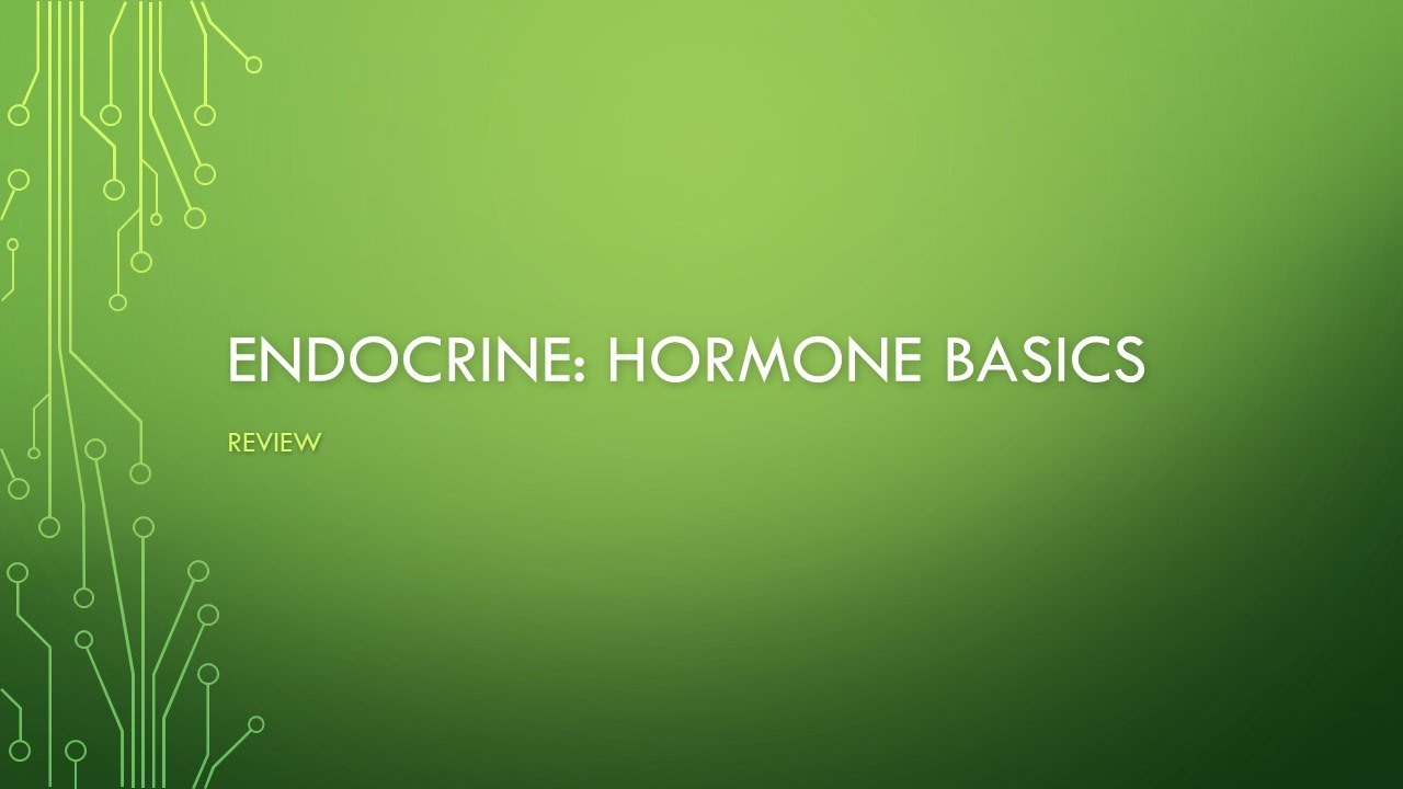 Endocrine Review: Hormone Basics
