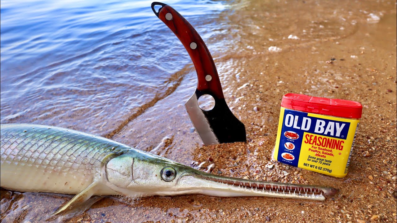 Gar Catch n' Cook - Delicious Trash Fish???