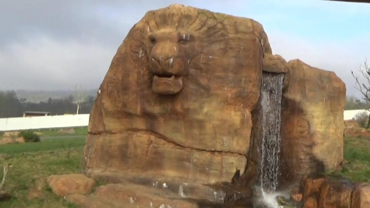 West Midland Safari Park - Safari Drive Through