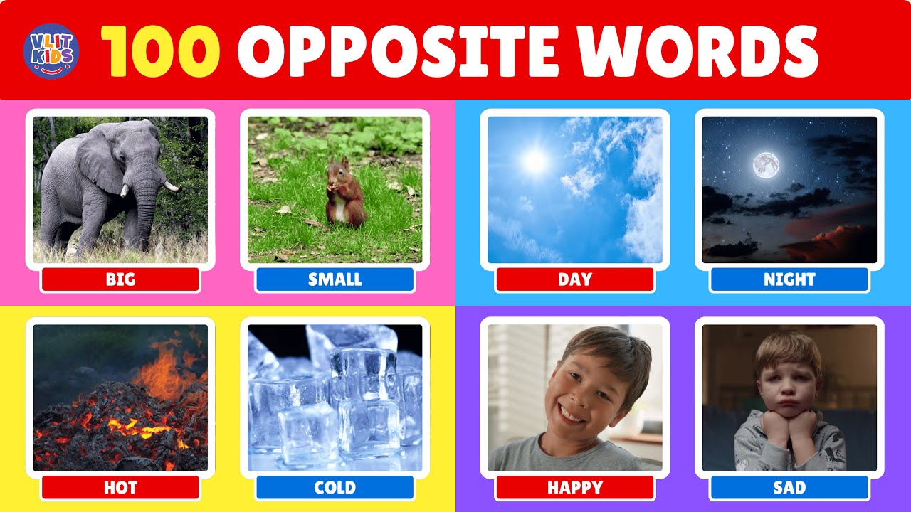 100 Opposite Words in English | Learn Simple Antonyms for Kids & Toddlers