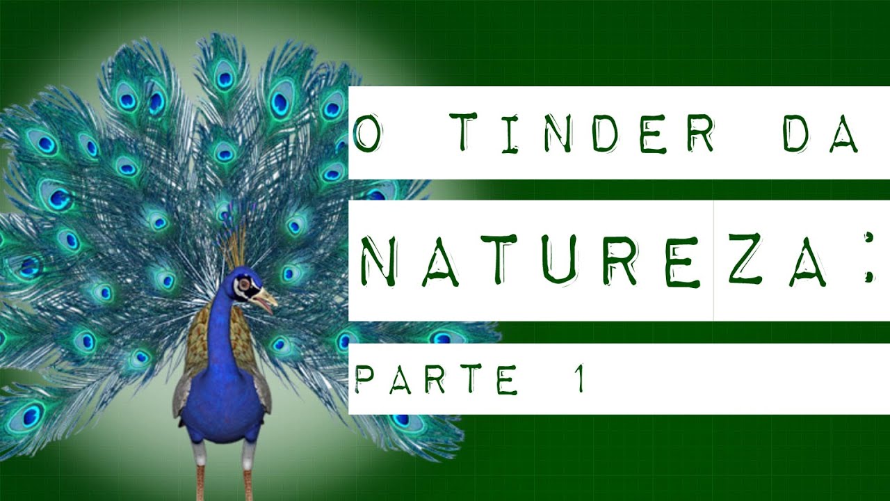 O TINDER DA NATUREZA: PARTE 1