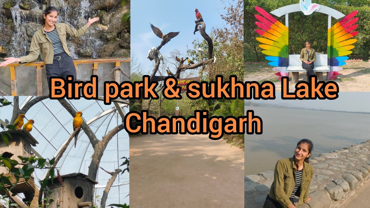 Exploring bird park & sukhna Lake (CHANDIGARH)