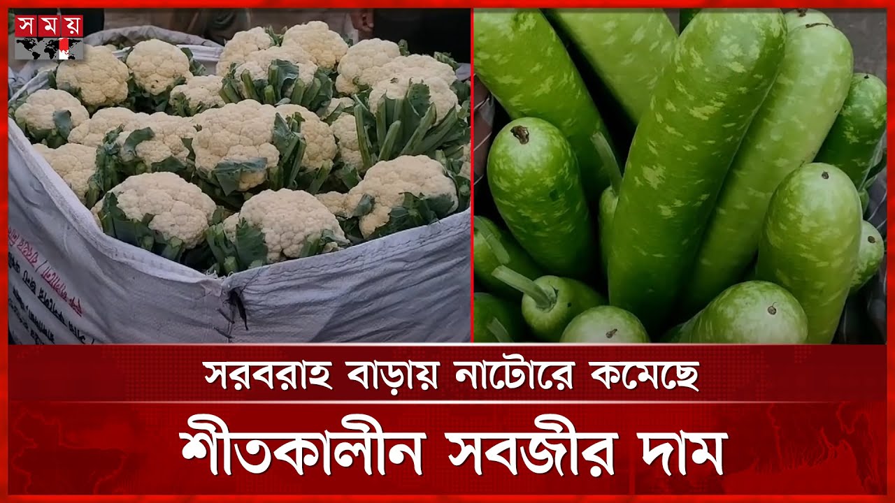 নাটোরে শীতকালীন সবজির সরবরাহ বৃদ্ধিতে কেজিতে ৫থেকে ১০ টাকা পর্যন্ত কমেছে দাম | Natore | Vegetables