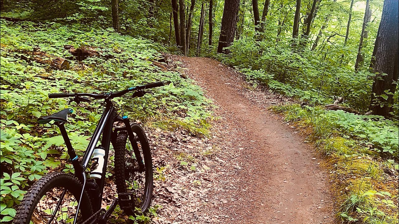 ￼RIDING MY 2022 SPECIALIZED FUSE AT DTE!!! THE BLUE TRAIL!!! WHAT COULD GO WRONG???