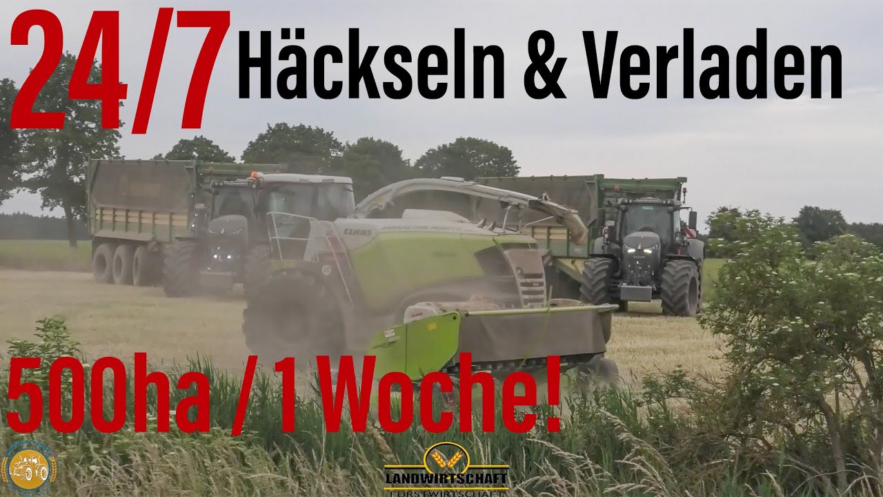 24/7 Häckseln & Verladen! Agrarlohn Müritz Erntet 500ha in einer Woche! Landwirtschaft Lohnauftrag