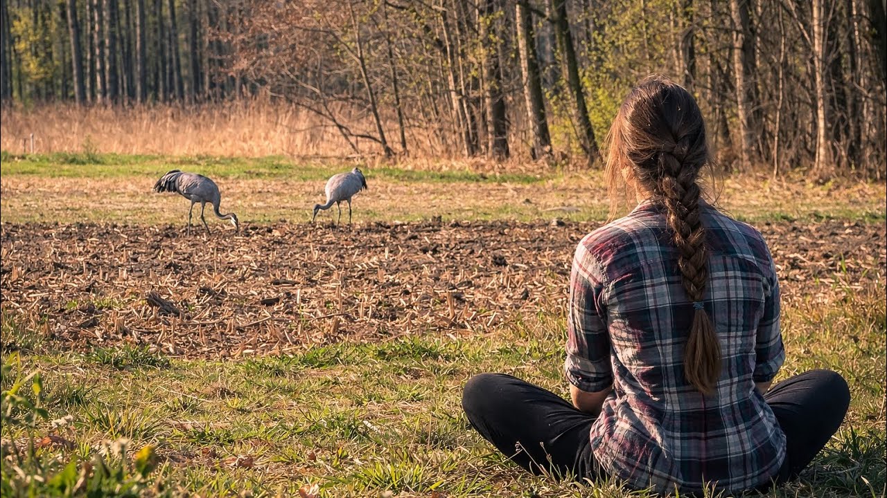 A Quiet Day in the Polish Countryside | Nature Sounds | Slow Life Vlog Spring 2026