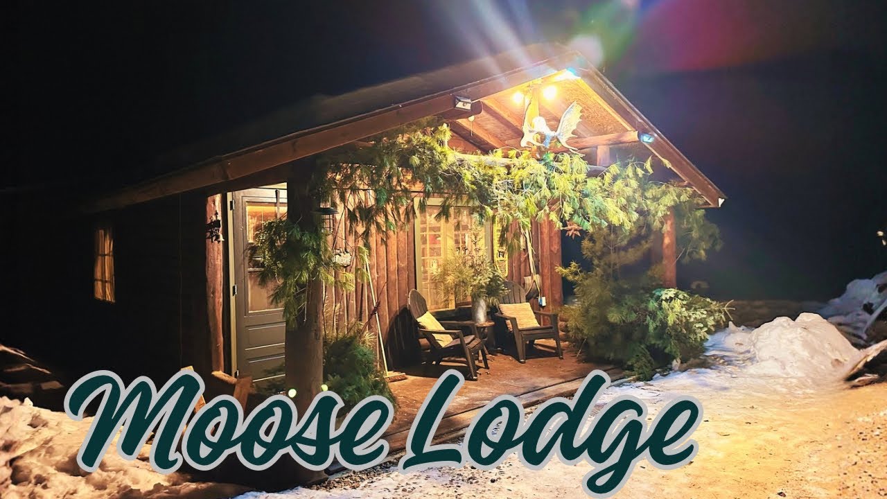 Back at Moose Lodge & Back to Installing the Ceiling! | Off-Grid Log Cabin Build