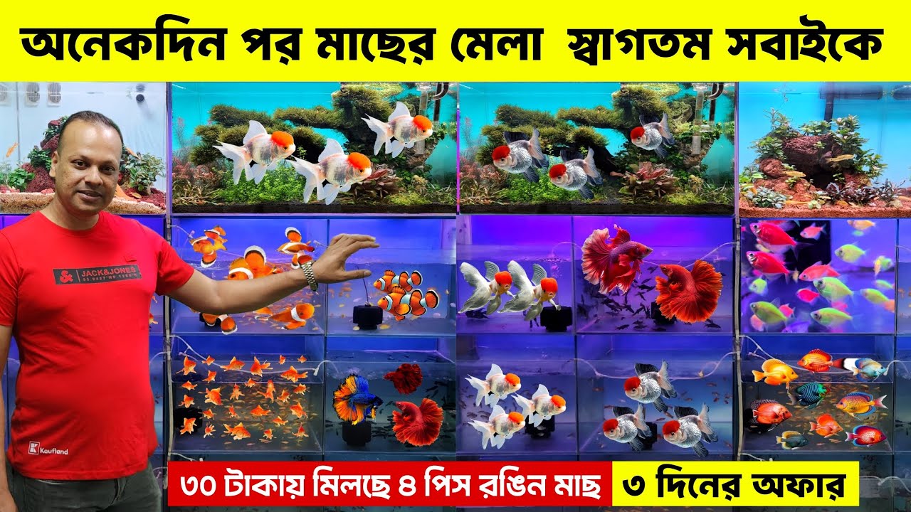 Aquarium Fish Price In Bangladesh 2025🐠Aquarium Fish Price | Aquarium | Aquarium Fish Price In BD🐠