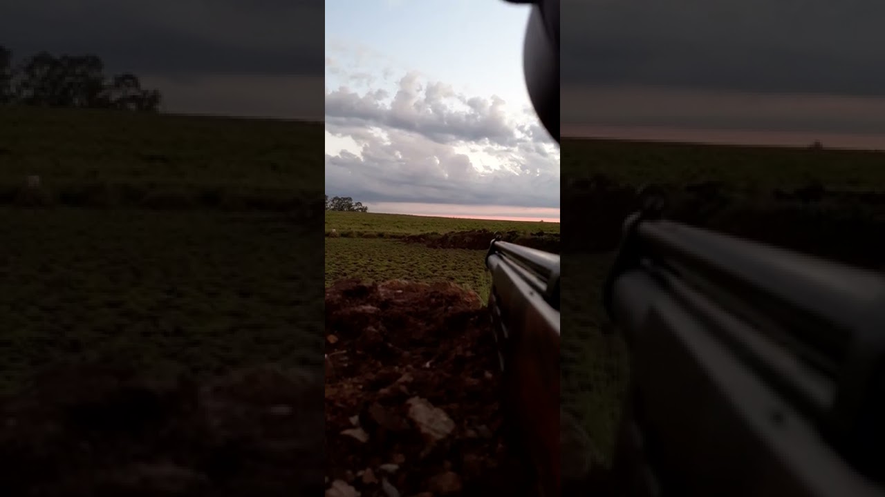 PCP, Rifle de Aire,Chumbera Tempestad .458