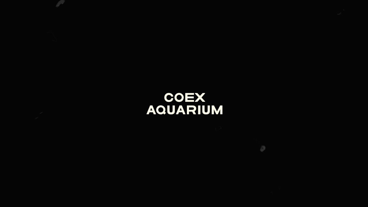 20241030  #코엑스아쿠아리움 #아쿠아리움 #coexaquarium #aquarium #모여봐요동물의숲Xcoexaquarium #모여봐요동물의숲X코엑스아쿠아리움 #coex