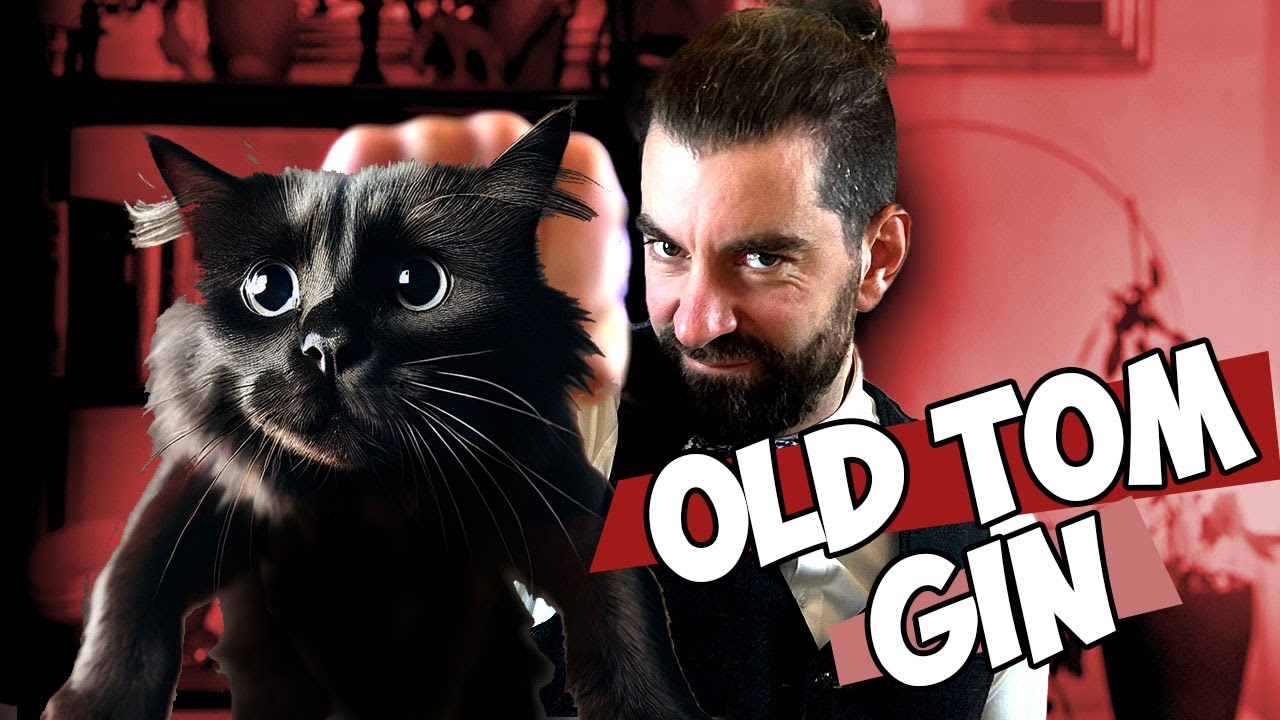 C'est quoi le gin OLD TOM?