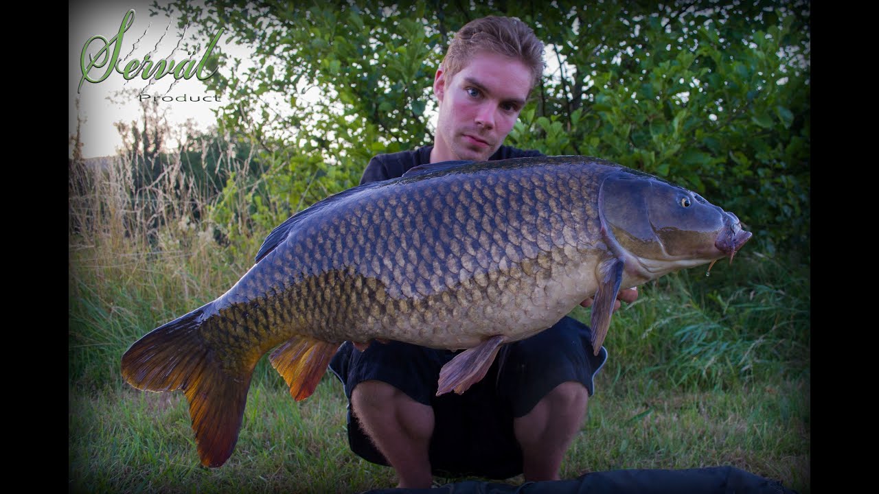 - Summer Carpfishing River - [HD]