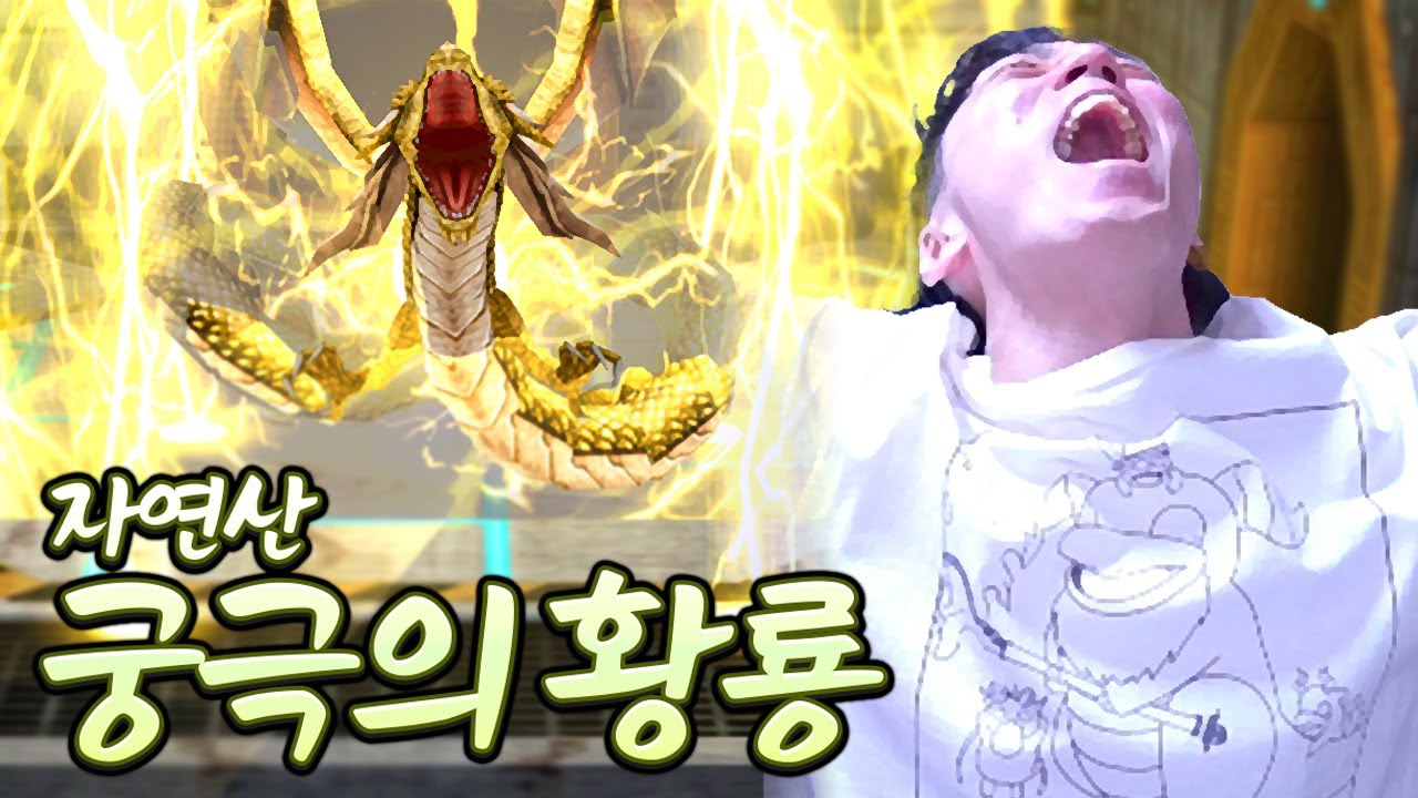 자연산 궁극의 황룡 먹었다 ㅋㅋㅋㅋㅋㅋ
