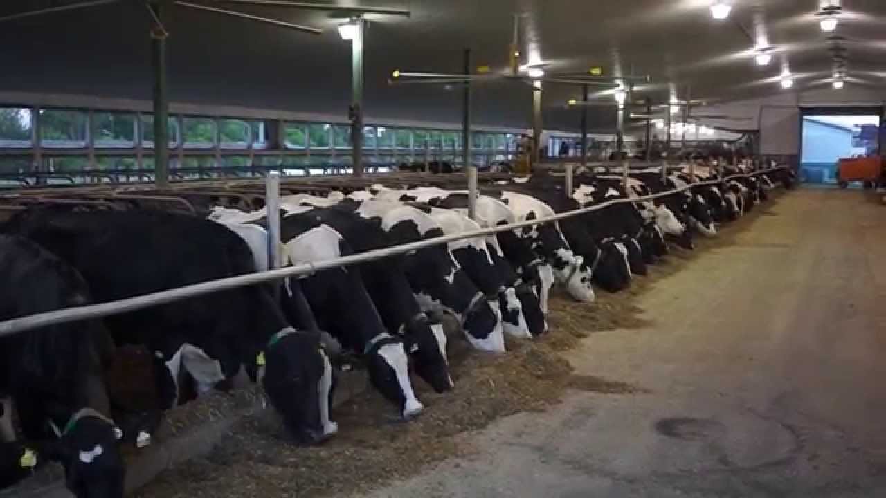 La Ferme Rhétaise inc. en action!