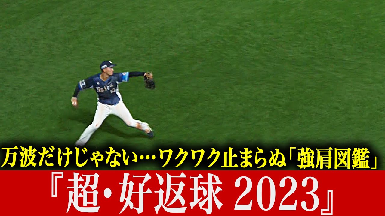 【万波だけじゃ】ワクワク止まらぬ“強肩図鑑” 『超・好返球 2023』【ないんです!!】