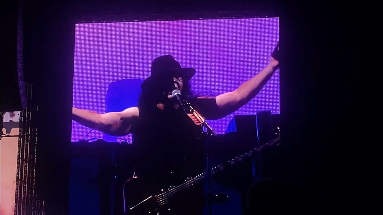System of a down Dreaming & Hypnotize live in Chicago 9/1/25