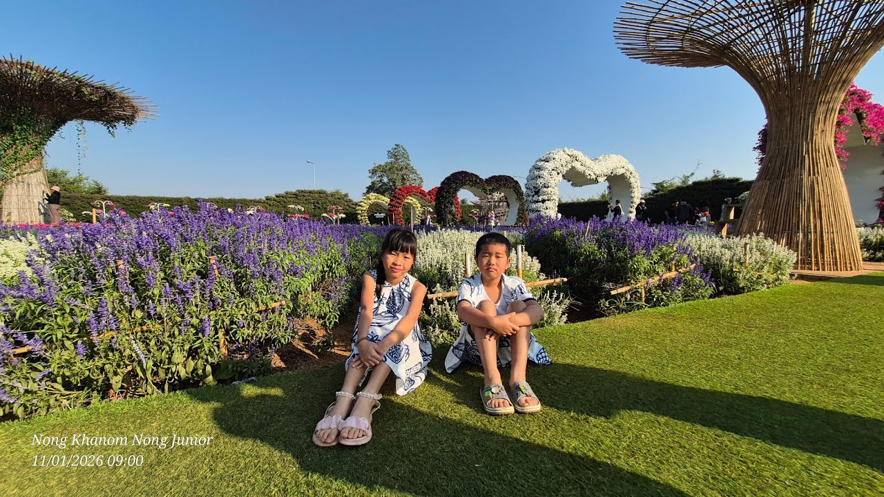 Maple Gardens - สวนเมเปิ้ล...โทมิเอโดะพาร์ค (tomi edo park)คาเฟ่ญี่ปุ่น