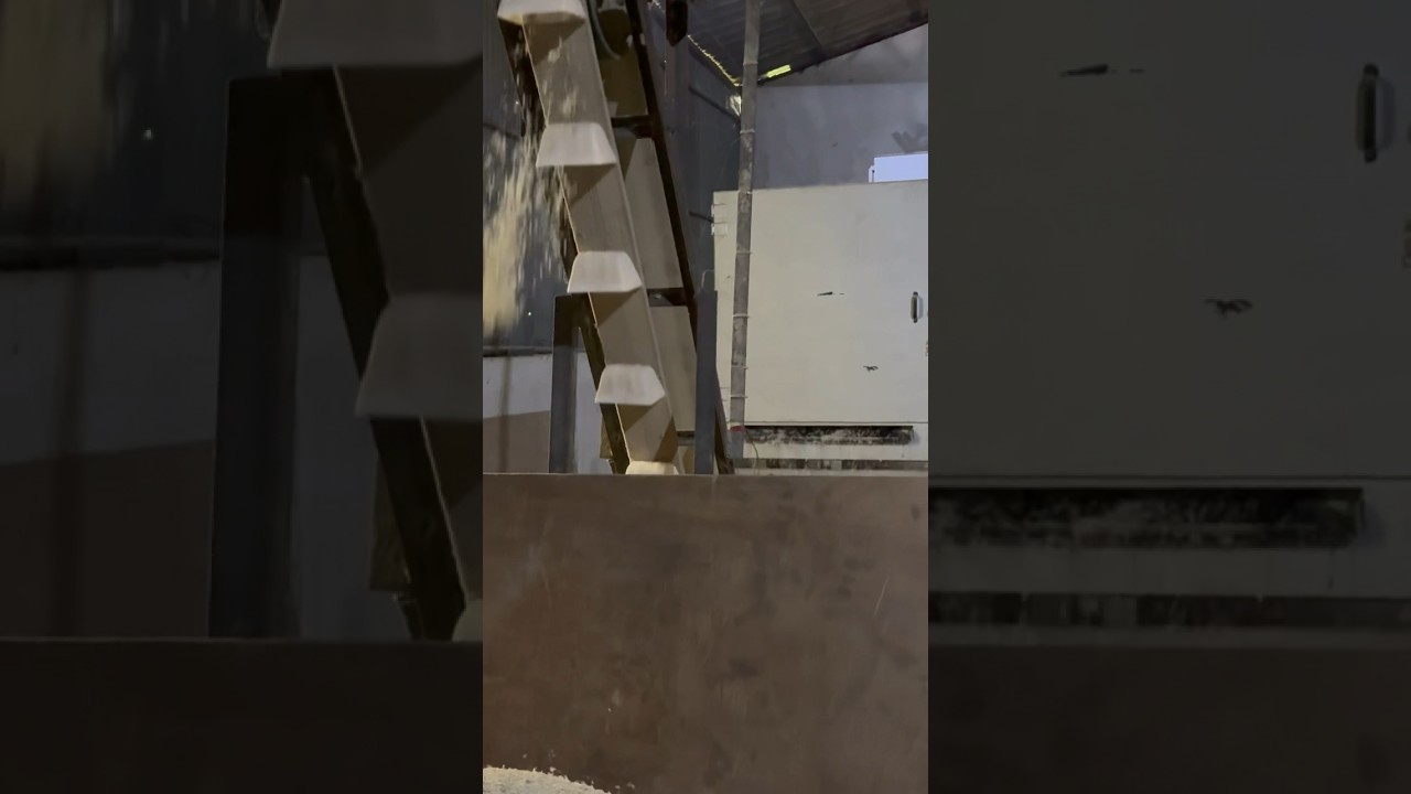 Chiura (Poha) Making process in factory