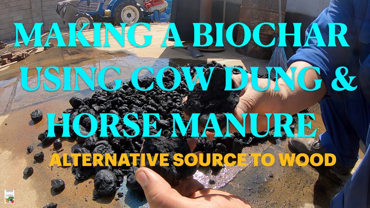 MAKING BIOCHAR USING COW DUNG AND HORSE MANURE.