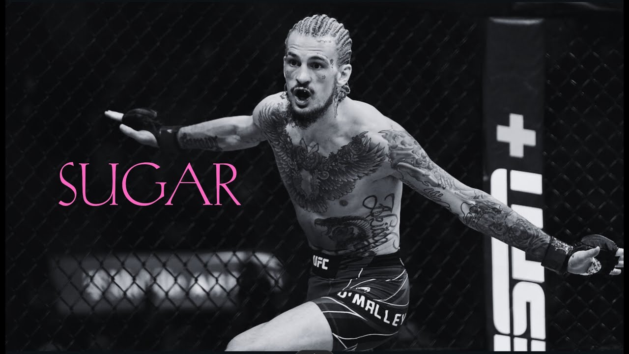 SUGAR SEAN O'MALLEY: AFTER DARK EDIT