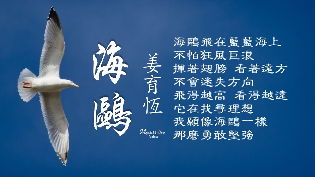姜育恆《海鷗》願像海鷗一樣勇敢堅強...&hearts; ♪♫*&bull;