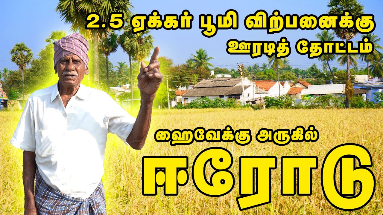 தார் ரோடு பேஸில் 2.50 ஏக்கர் வயல் விற்பனைக்கு ஈரோடு/Thottam for Sale Near Highway