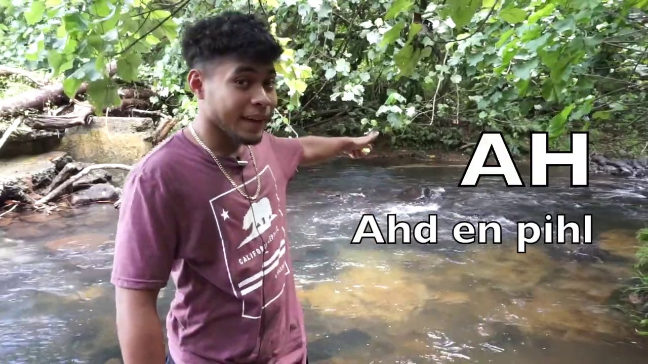 Pohnpei Geoliteracy Alphabet -- Geoliteracy Education in Micronesia