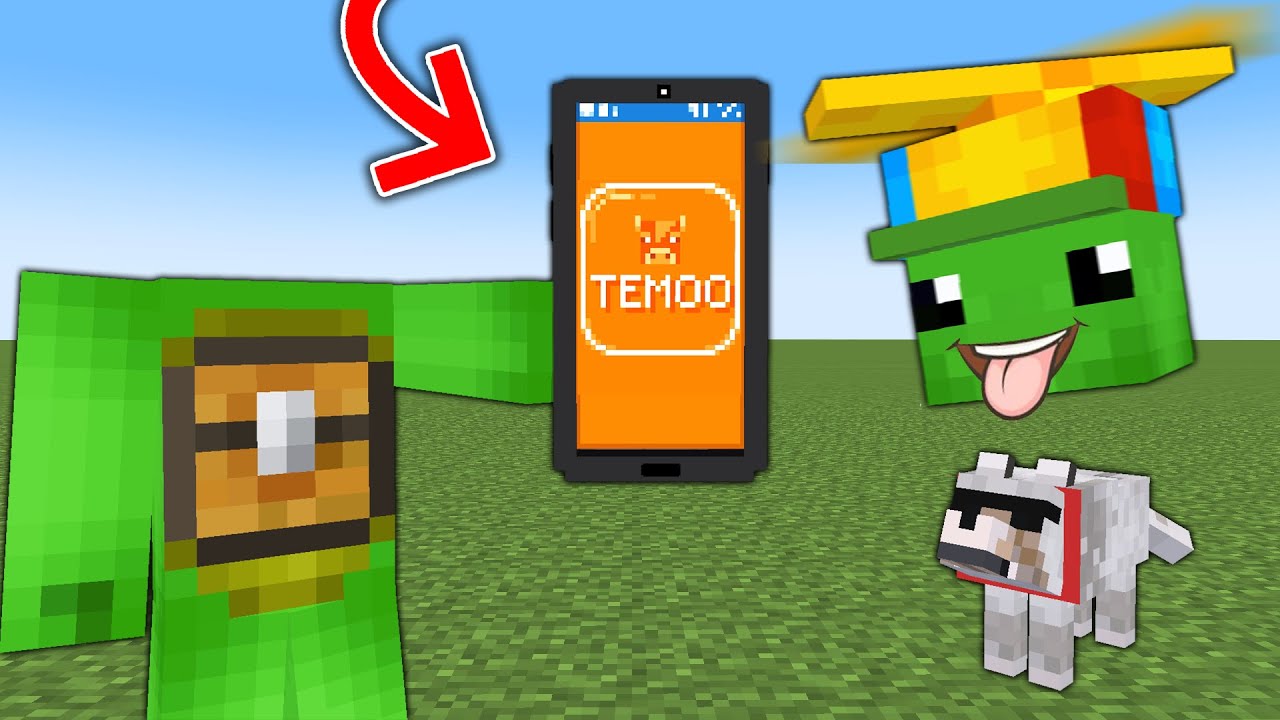 Minecraft dar Pot sa Cumpar Iteme de pe TEMU !