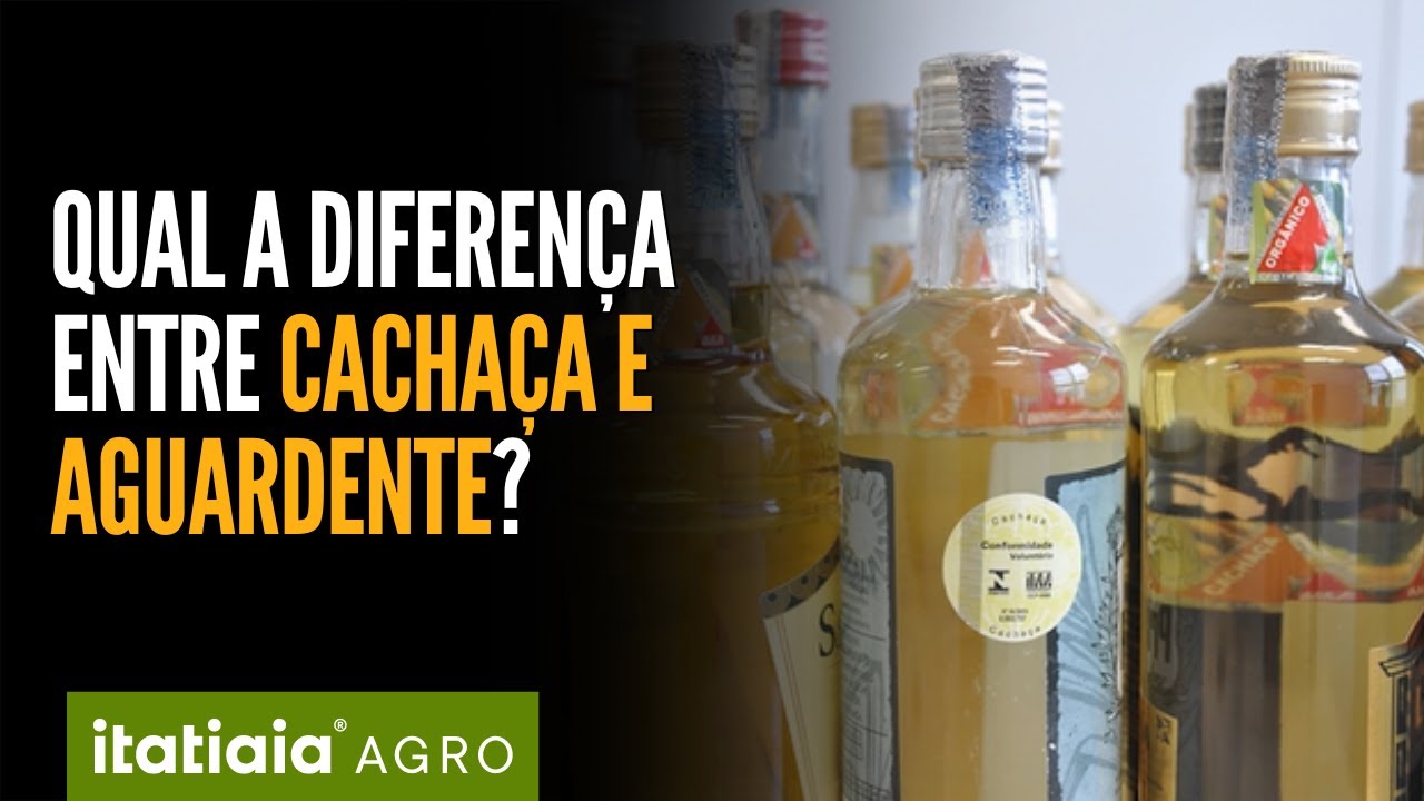 Qual a diferen&ccedil;a entre cacha&ccedil;a e aguardente? Saiba como diferenciar as duas bebidas